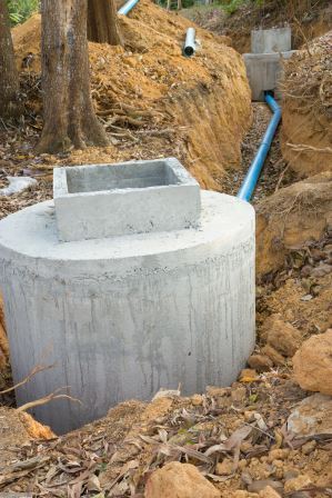 Sewage drainage system